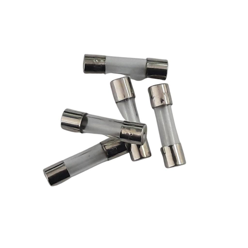 10X FUSÍVEL VIDRO PEQUENO 10A 5X20MM BIVOLT PARA ESTABILIZADOR - SKU: JUHQGHYUI6